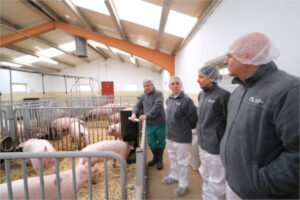 Nueve proyectos de innovación en el sector porcino de Castilla y León impulsados por la Junta
