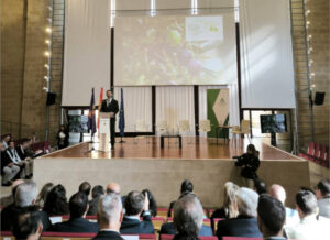 Presentada la I Estrategia Andaluza del Olivar