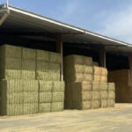 nave de forraje