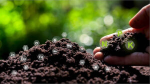 La industria europea de fertilizantes a favor de los aranceles a las importaciones rusas