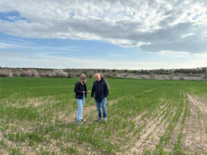Se sextuplican las capturas de conejo en la llanura de Lleida en el primer trimestre de 2025