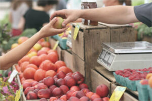 ¿Cómo influye el etiquetado en la aceptación de los alimentos obtenidos con NGT?
