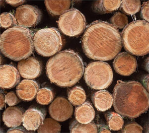 La Comisión Europea propone simplificar la aplicación del Reglamento sobre Deforestación (EUDR)