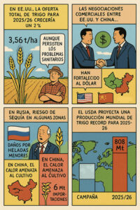 ¿Cómo está la situación mundial del trigo?
