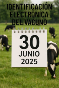 El 30 de junio será obligatoria la identificación electrónica del vacuno en España pero en la UE no es obligatorio