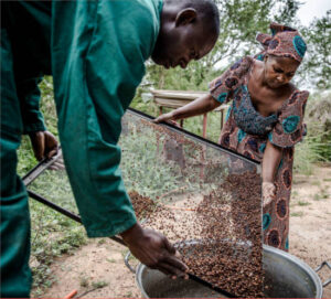 Las mujeres representan el 36 % de la fuerza laboral en los sistemas agroalimentarios en América Latina y el Caribe