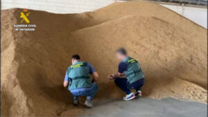 Desarticulada una red que sustrajo 160.000 kg de arroz de una cooperativa de Isla Mayor