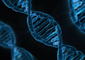 Del laboratorio al campo: cómo CRISPR está transformando la agricultura europea