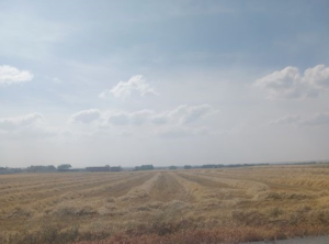 Se adelanta la cosecha en Segovia en un campaña marcada por los bajos precios