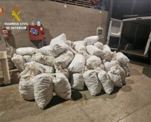 La Guardia Civil incauta 3.360 kg de ajos robados y detiene a un presunto autor del hurto