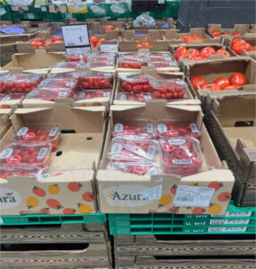 Denuncian el etiquetado incorrecto de tomates cherry del Sáhara Occidental como «origen Marruecos»