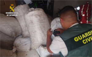 La Guardia Civil recupera 890 kg de aceituna robada en Cuenca