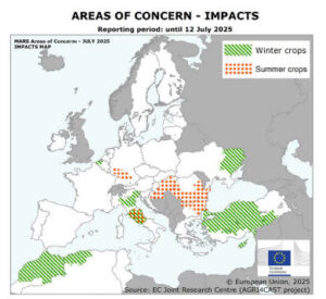 Contrastadas previsiones para cultivos en Europa: buena campaña invernal, problemas en verano