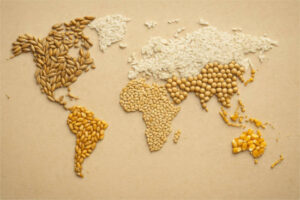 Récord en la producción mundial de cereales y soja  en 2025/26