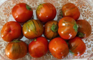 Desarrollan una innovadora técnica para silenciar genes en plantas mediante ARN ultracorto