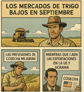 El trigo mantiene precios en mínimos mientras hay buenas perspectivas de cosecha