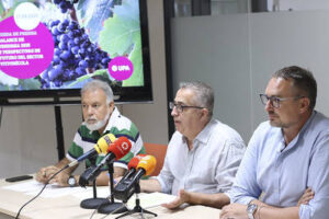 Vendimia 2025: la segunda peor del siglo XXI,