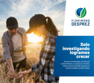 Florimond-Desprez presenta sus variedades de trigos, cebadas y guisantes