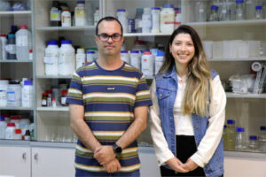 Extractos naturales de algarrobo y granada podrían reducir la antracnosis del olivar