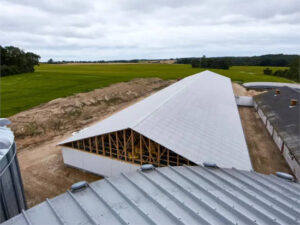 Danish Crown aumenta la ayuda que da a los ganadero por construir nuevas granjas porcinas