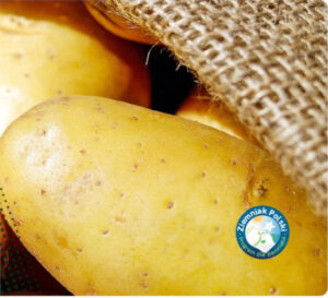 Polonia prevé una cosecha de patata un 15 % superior a la del año pasado