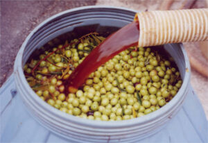 La campaña de la aceituna de mesa alcanza su ecuador con un 7% menos de producción prevista