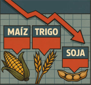 La primera estimación del USDA tras el shut down baja el precio de los cereales y soja en Chicago