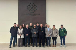 El sector vitivinícola del Matarraña avanza hacia la creación de una nueva DOP