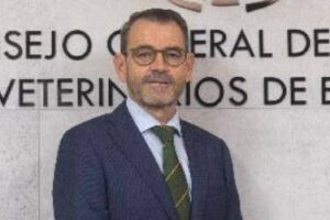 DNC: el criterio veterinario marca la diferencia