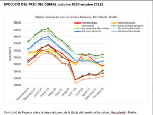 El precio del trigo y la cebada caen más de un 40% con respecto a 2022