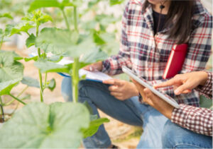 Hasta el 30 de enero se pueden solicitar ayudas para digitalización agroalimentaria