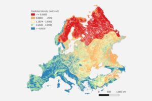 Jabalíes por km²: el primer mapa europeo