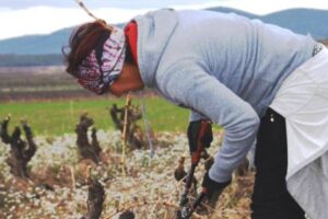 Aragón refuerza el relevo generacional con 13M€ en 2026