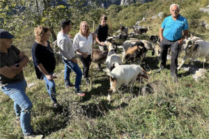 Cantabria convoca ayudas para primera instalación de jóvenes y nuevos agricultores