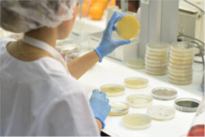 TRICHODEX y la Universidad de Lisboa demuestran que los bioestimulantes microbianos ayudan a los cultivos a resistir mejor la sequía