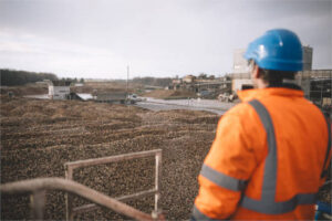 Cristal Unión alcanza un rendimiento medio de 90 t/ha