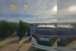 Un detenido por robo de cítricos en Valencia