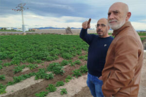 La huerta valenciana está verde pero los números salen en rojo