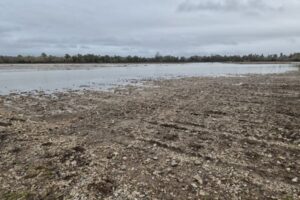 El Ministerio publica el segundo listado de afectados por borrascas: 27.462 agricultores tienen 15 días para aceptar la ayuda