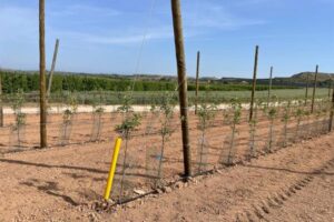 La fauna cinegética obliga a Cataluña a invertir 2 M€  en protecciones de cultivos