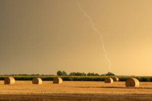 Castilla y León eleva al 25% la ayuda al seguro agrario para jóvenes