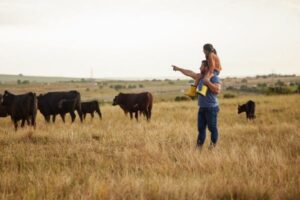 Europa pierde 140.000 jóvenes agricultores en siete años sin que la nueva PAC asegure fondos para frenarlo