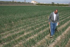 El campo valenciano considera exiguos los fondos para paliar la crisis de los insumos