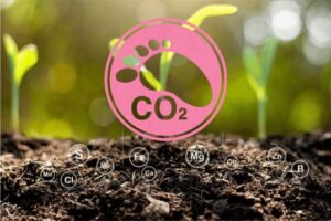 ¿Cuánto le va a costar a los agricultores europeos el Mecanismo de Ajuste en Frontera del Carbono (CBAM)?