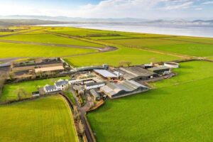 ¿Cuánto crees que piden por una explotación británica de 300 vacas y 150 ha?