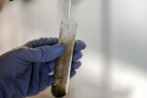 La biodiversidad del suelo actúa como escudo natural frente a patógenos