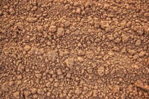 ¿Qué ocurre en la tierra de cultivo cuando el termómetro supera los 40 grados?