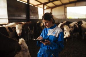 Ahora puedes medir la huella de carbono en granjas de vacuno con esta app