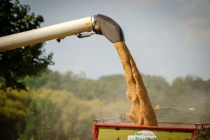 La inestabilidad global pone a prueba la logística del cereal en España