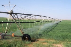 Castilla y León exige 43.000 nuevas hectáreas de regadío en el Plan Hidrológico del Duero